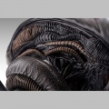 Buste 1/1 Xenomorph - Alien Romulus