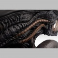 Buste 1/1 Xenomorph - Alien Romulus