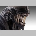 Bust 1/1 Xenomorph - Alien Romulus