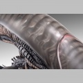 Buste 1/1 Xenomorph - Alien Romulus