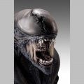 Bust 1/1 Xenomorph - Alien Romulus