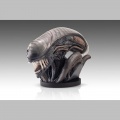 Bust 1/1 Xenomorph - Alien Romulus