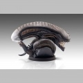 Bust 1/1 Xenomorph - Alien Romulus