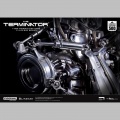 Blitzway buste 1/1 T-800 Endoskeleton Skull - Terminator