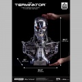 Blitzway buste 1/1 T-800 Endoskeleton Skull - Terminator