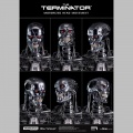 Blitzway buste 1/1 T-800 Endoskeleton Skull - Terminator