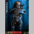 Hot Toys Predator (2.0) - Predator