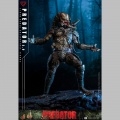 Hot Toys Predator (2.0) - Predator