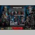 Hot Toys Predator (2.0) - Predator