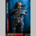 Hot Toys Predator (2.0) Deluxe Version - Predator