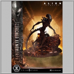 Prime 1 Studio 1/3 Scorched Xenomorph - Alien: Romulus