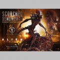 Prime 1 Studio 1/3 Scorched Xenomorph - Alien: Romulus