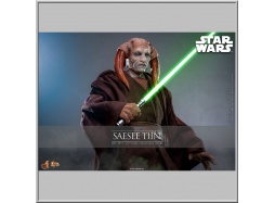 Hot Toys Saesee Tiin - Star Wars Episode III