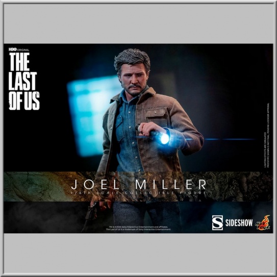 Hot Toys Joel Miller - The Last of Us