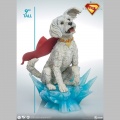 Sideshow Krypto Premium Format - Superman (2025)
