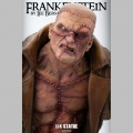 Infinite Statue 1/4 Frankenstein by Lee Bermejo