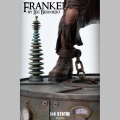 Infinite Statue 1/4 Frankenstein by Lee Bermejo