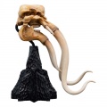 Weta Skull of a Mumak - The Lord of the Rings