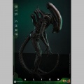 Hot Toys Big Chap 1/6 - Alien