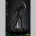 Hot Toys Big Chap 1/6 - Alien