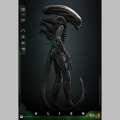 Hot Toys Big Chap 1/6 - Alien