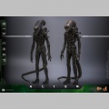 Hot Toys Big Chap 1/6 - Alien