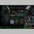 Hot Toys Big Chap 1/6 - Alien