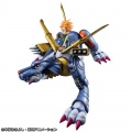 Garurumon & Ishida Yamato - Digimon Adventure (Megahouse)
