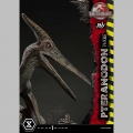 Prime 1 Studio Pteranodon Bonus Version - Jurassic Park III