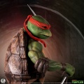PCS 1/2 Raphael - Les Tortues ninja