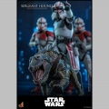 Hot Toys Sergeant Hound - Star Wars: The Clone Wars