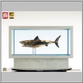 Maquette 1/18 Jaws Bronze - Les Dents de la mer
