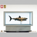 Maquette 1/18 Jaws Bronze - Les Dents de la mer