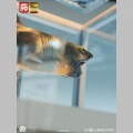 Maquette 1/18 Jaws Bronze - Les Dents de la mer