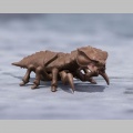 S.H. Monster Arts Megaguirus Evolution Set - Godzilla (Bandai)