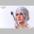 Pure Arts Ciri of Cintra - The Witcher 3: Wild Hunt