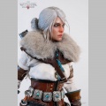 Pure Arts Ciri of Cintra - The Witcher 3: Wild Hunt