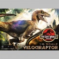 Prime 1 Studio Velociraptor - Jurassic Park II