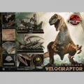 Prime 1 Studio Velociraptor - Jurassic Park II