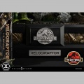 Prime 1 Studio Velociraptor - Jurassic Park II