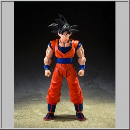 S.H.Figuarts Son Goku (The Kind-Hearted Saiyan) - Dragon Ball Z
