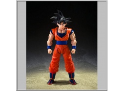 S.H.Figuarts Son Goku (The Kind-Hearted Saiyan) - Dragon Ball Z