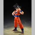 S.H.Figuarts Son Goku (The Kind-Hearted Saiyan) - Dragon Ball Z