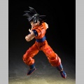 S.H.Figuarts Son Goku (The Kind-Hearted Saiyan) - Dragon Ball Z
