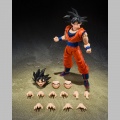 S.H.Figuarts Son Goku (The Kind-Hearted Saiyan) - Dragon Ball Z