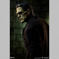 Sideshow Frankenstein (Fabric Costume) - Frankenstein