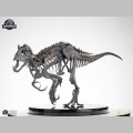 ECC 1/12 Indominus Rex Skeleton Bronze - Jurassic World