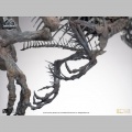 ECC 1/12 Indominus Rex Skeleton Bronze - Jurassic World