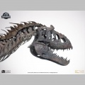 ECC 1/12 Indominus Rex Skeleton Bronze - Jurassic World