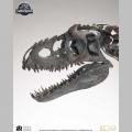 ECC 1/12 Indominus Rex Skeleton Bronze - Jurassic World